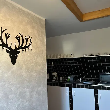 Wojtowiczowka Pansiyon *